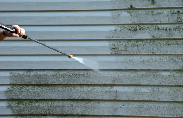 Best Deck Cleaning Services  in Sergeant Bluff, IA
