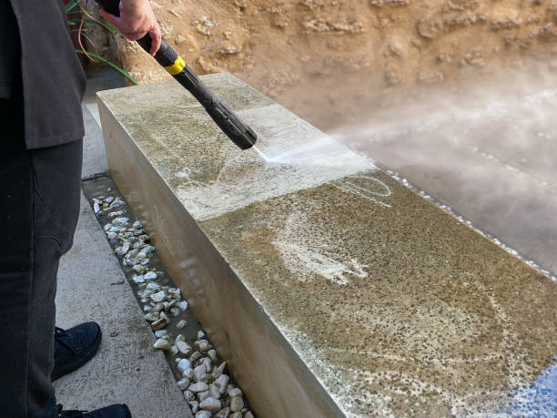 Best Sidewalk Pressure Washing  in Sergeant Bluff, IA